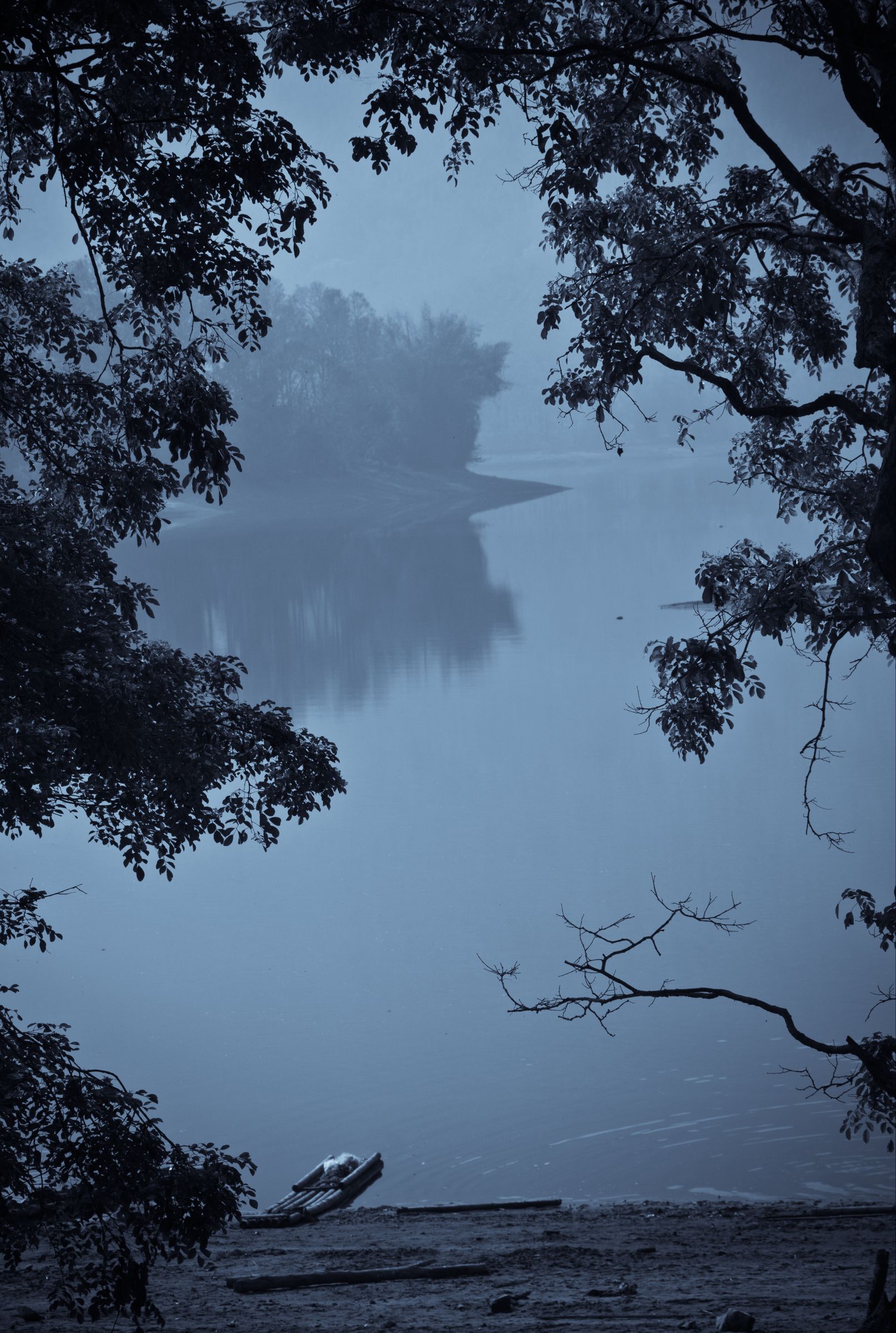 A misty lake seen through dark trees at first light